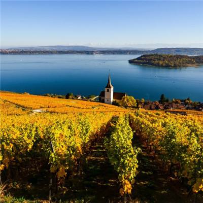 乐鱼app(中国体育)官方网站app下载