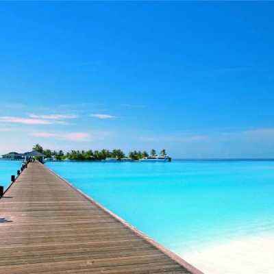 小罗代言米乐体育app手机app下载